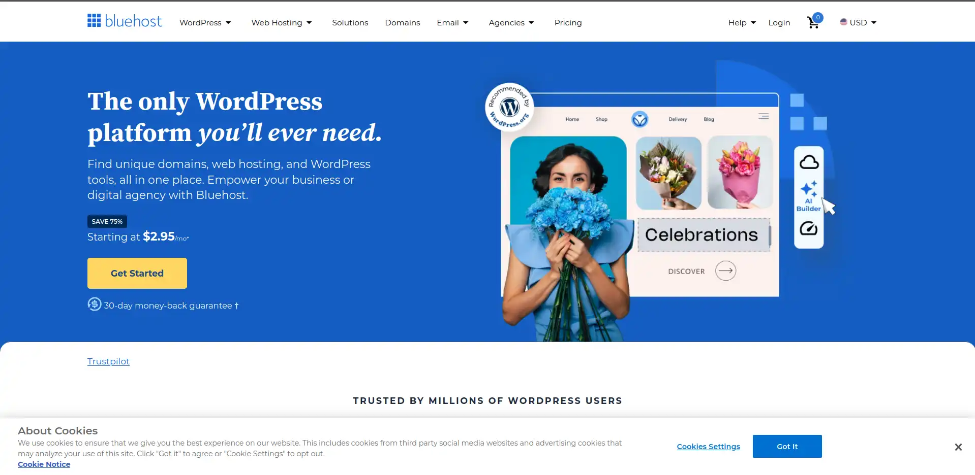 &ldquo;Bluehost&rdquo;